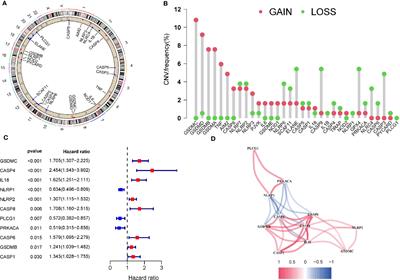 Analysis of Pyroptosis-Related Signature for Predicting Prognosis and Tumor Immune Microenvironment in Pancreatic Cancer